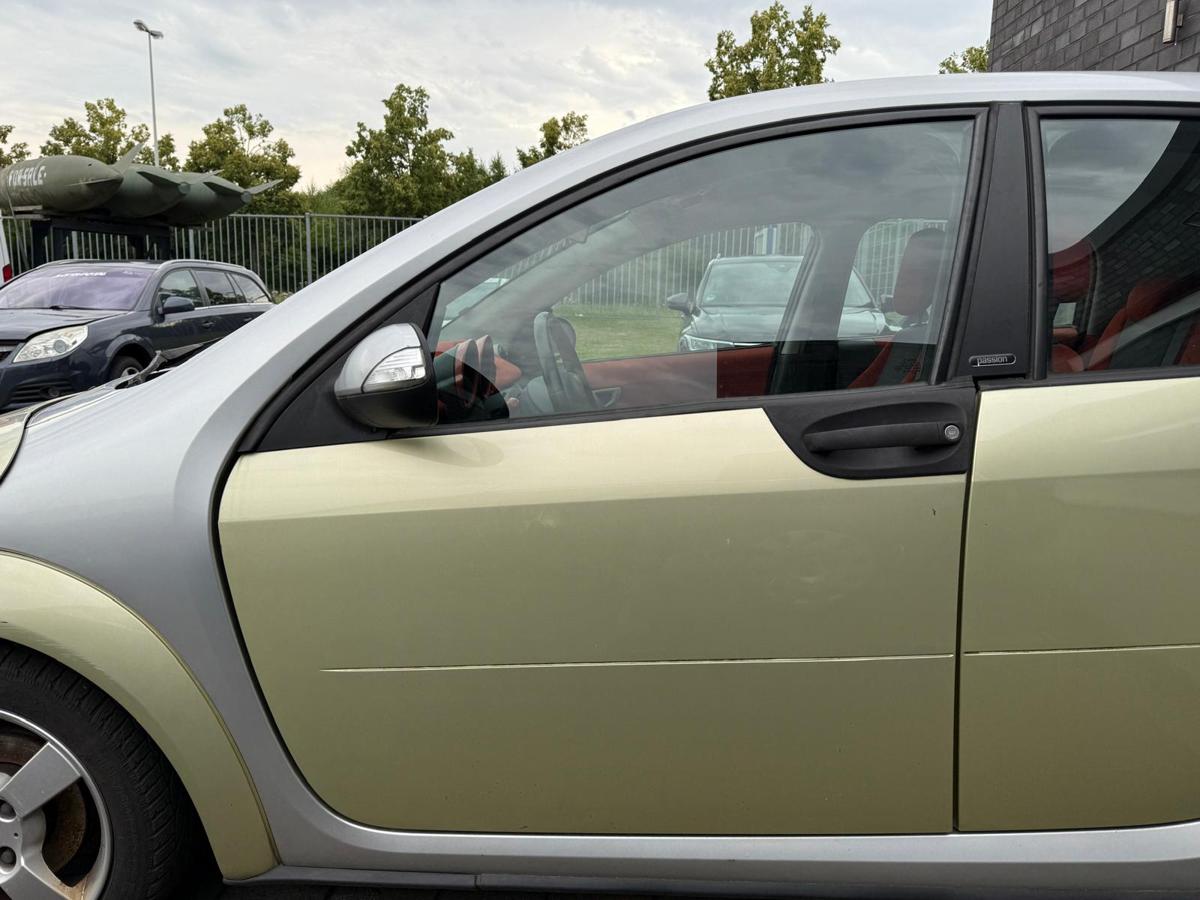 Smart ForFour 454 original Tür vorn links EAR Melon Green Rohbau BJ05